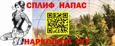 индика Комсомольск-на-Амуре