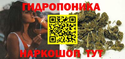 индика Комсомольск-на-Амуре