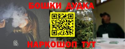 индика Комсомольск-на-Амуре