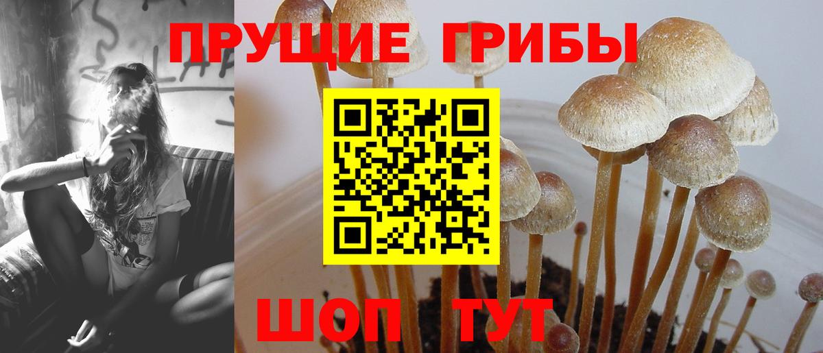 Галлюциногенные грибы Magic Shrooms  купить наркоту  Вход с VPN  Кашира  Псилоцибиновые грибы ЛСД 